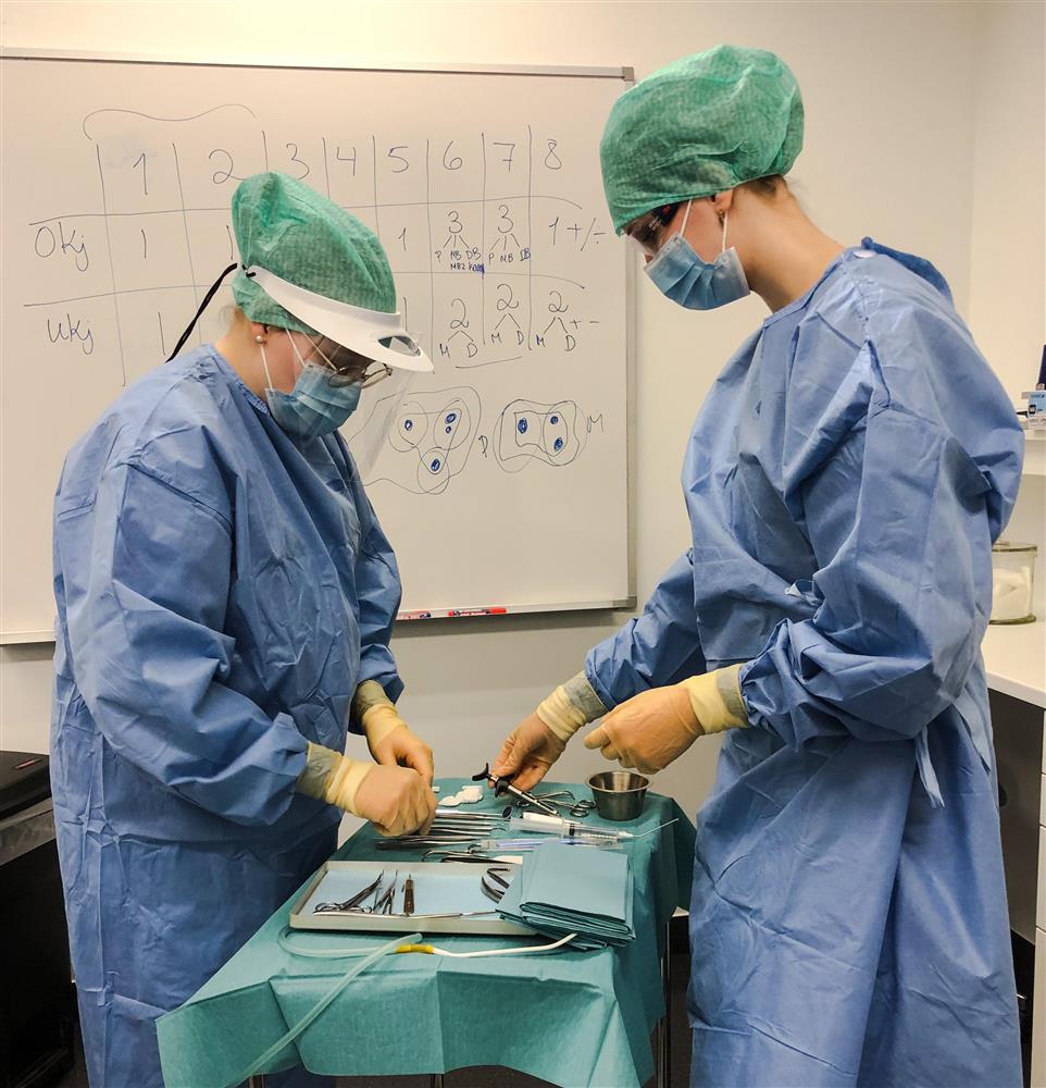 Tannhelse-elever i blått skrubbtøy, grønn hodehette og munnbind klargjør verktøy for undersøkelse - Klikk for stort bilde