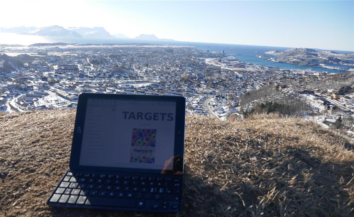 PC ute i naturen med utsikt over Bodø - Klikk for stort bilde